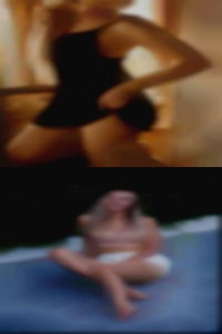 shirlleyGingrich, how to